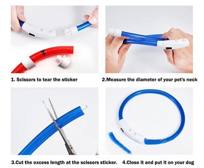 LED Light up Collar 