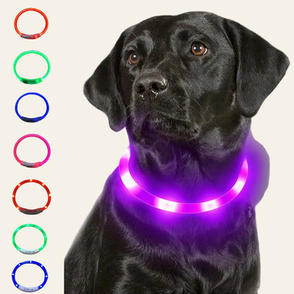 LED Light up Collar 