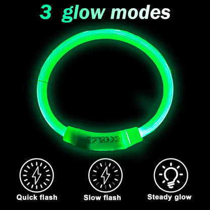 LED Light up Collar 