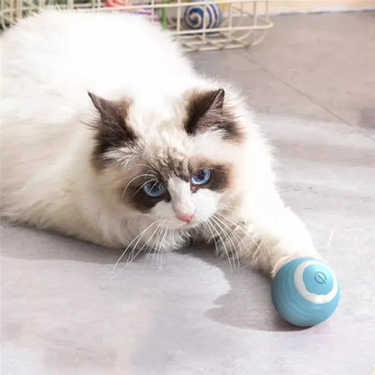 Automatic Self-Rolling Ball For Cats