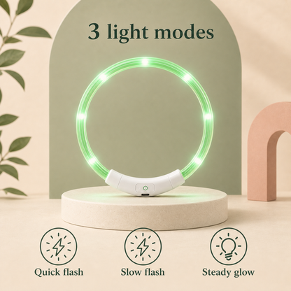 LED Light up Collar