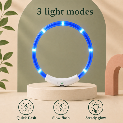 LED Light up Collar