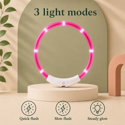 LED Light up Collar