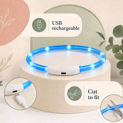 LED Light up Collar
