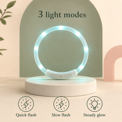 LED Light up Collar