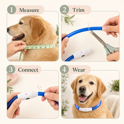 LED Light up Collar