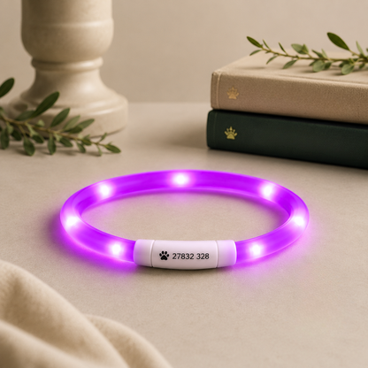 LED Light up Collar