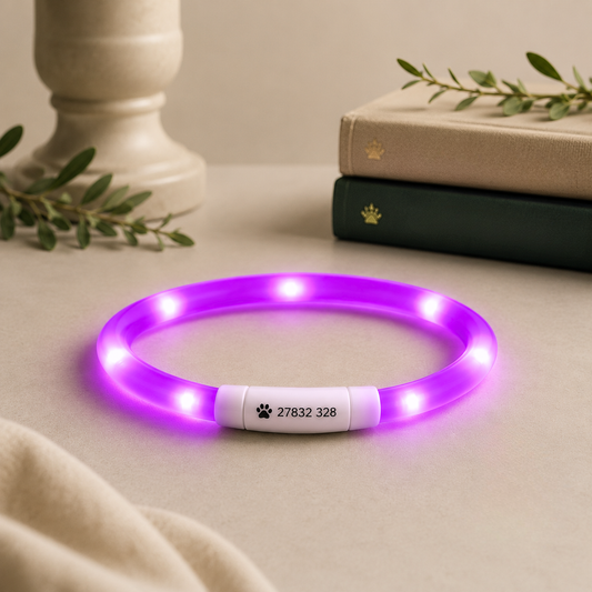 LED Light up Collar
