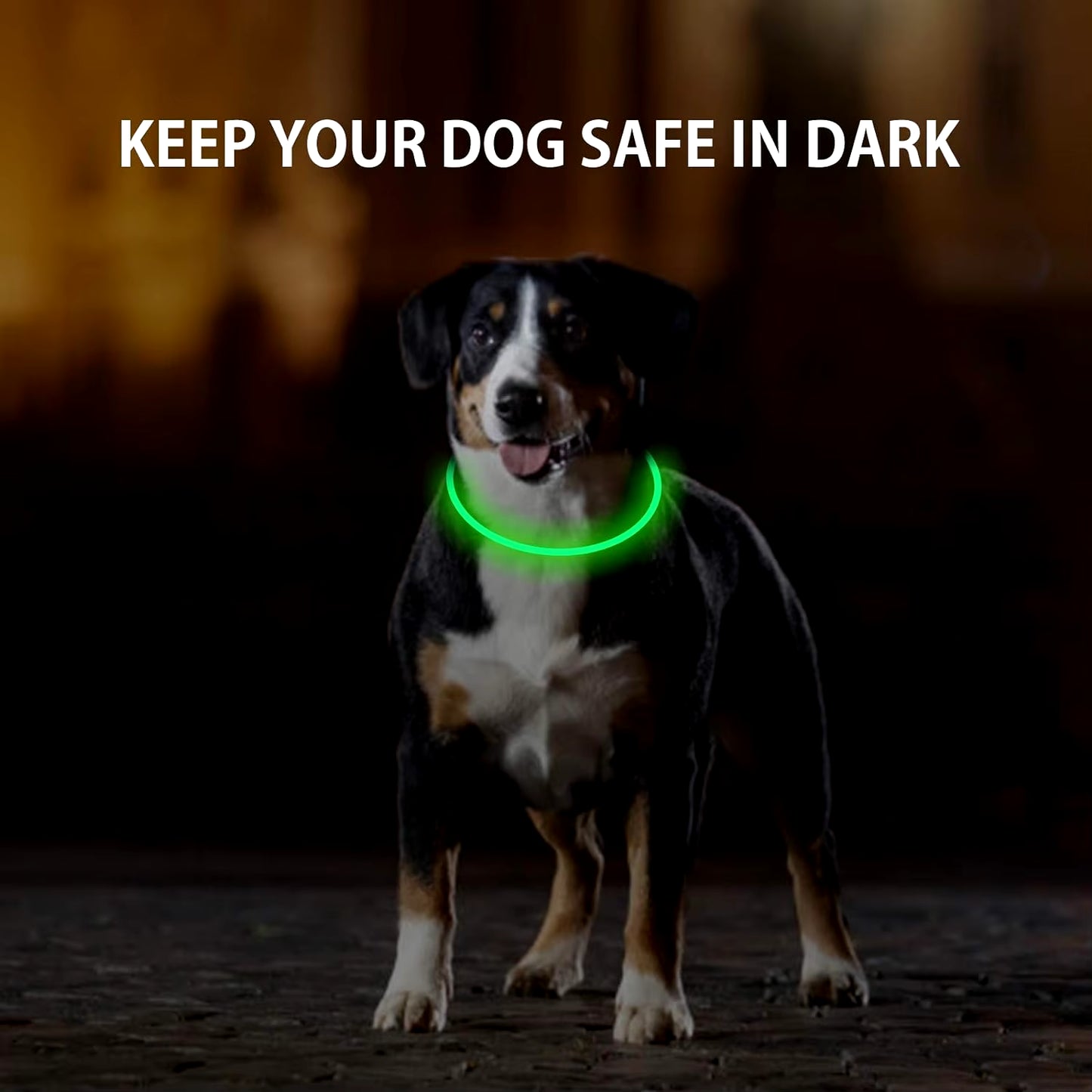 LED Light up Collar 
