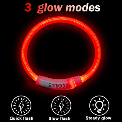 LED Light up Collar 