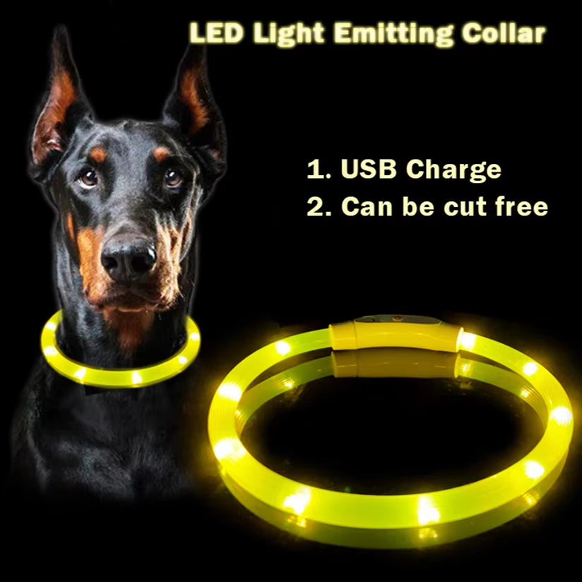 LED Light up Collar 