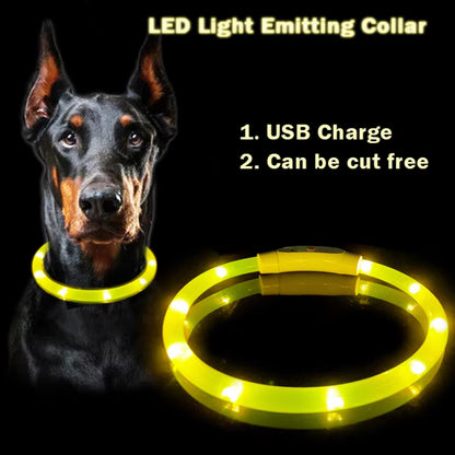 LED Light up Collar 