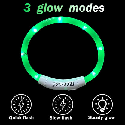 LED Light up Collar 